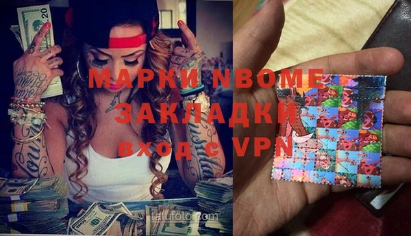 хмурый Верея