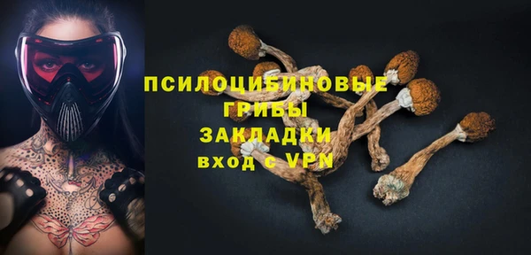хмурый Верея