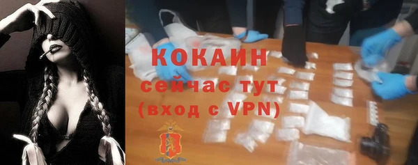 хмурый Верея