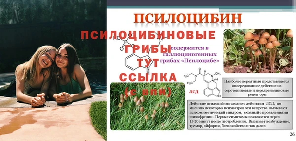 хмурый Верея