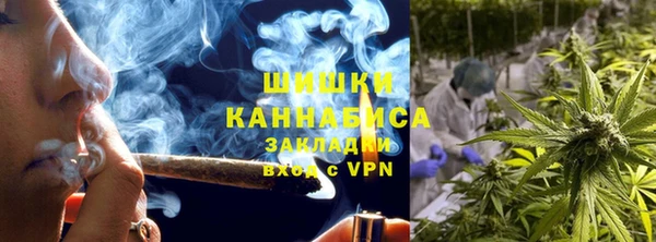 хмурый Верея