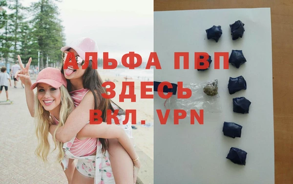 экстази Бородино